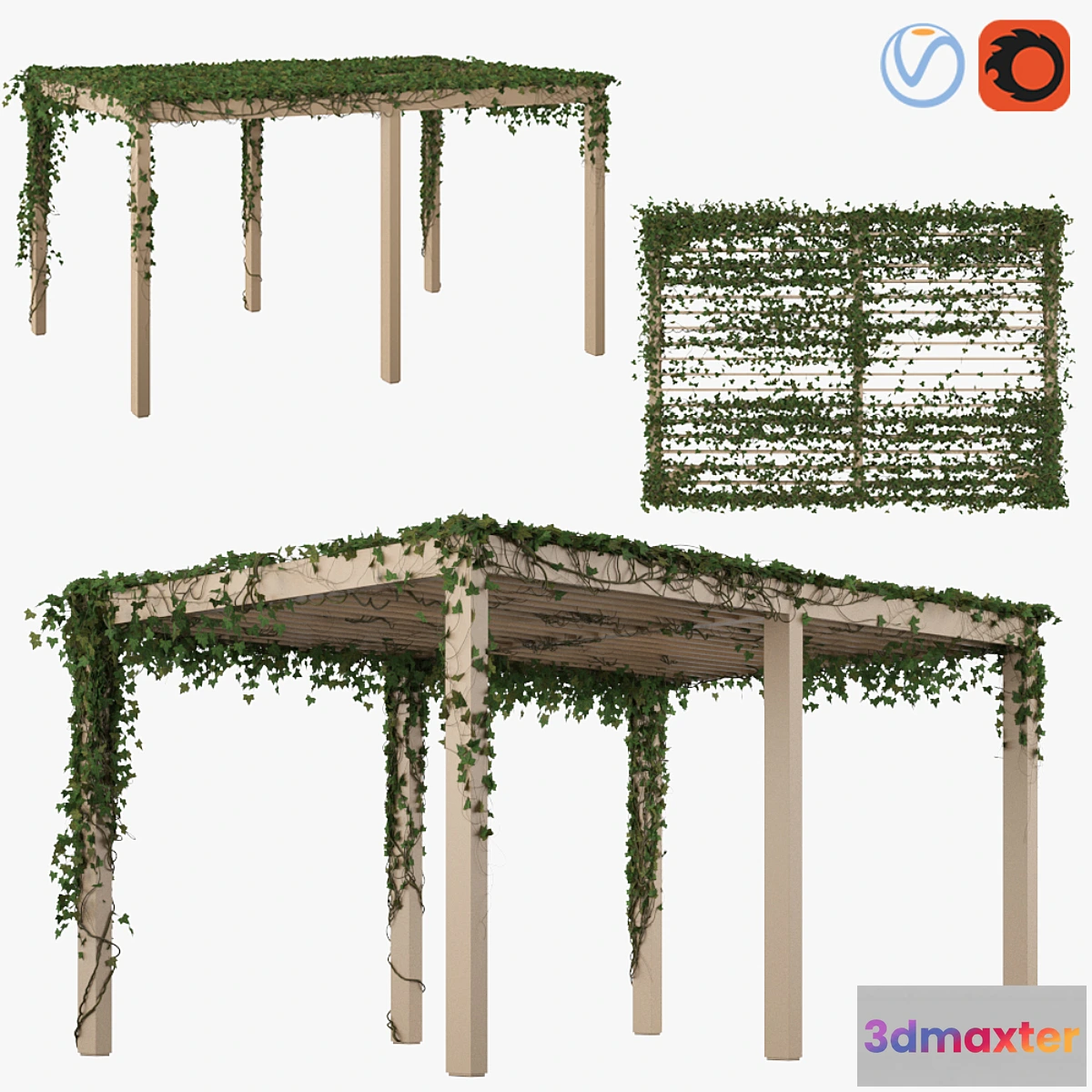 721076 - Pergola with Ivy v2 - No.2