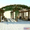 802716 - Pergola uvita Ivy …