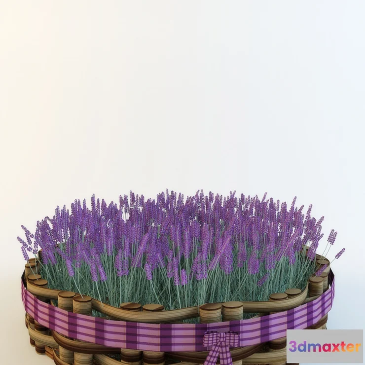 802982 - Flowers - No.9