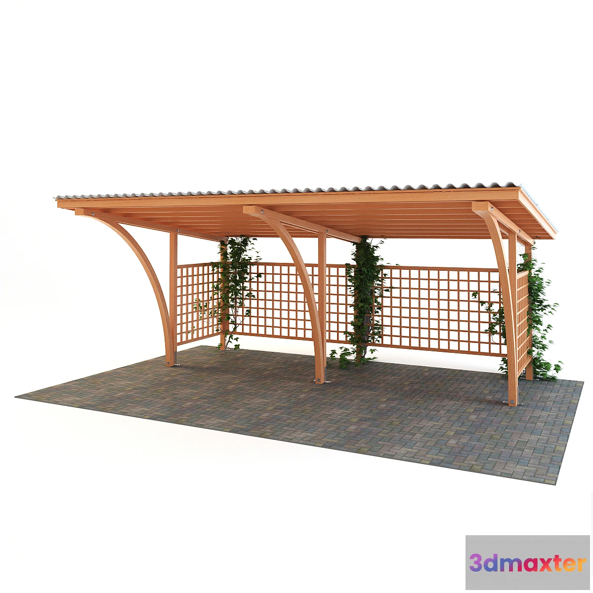 809574 - Canopy - No.6