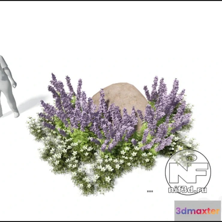 809612 - a flower bed