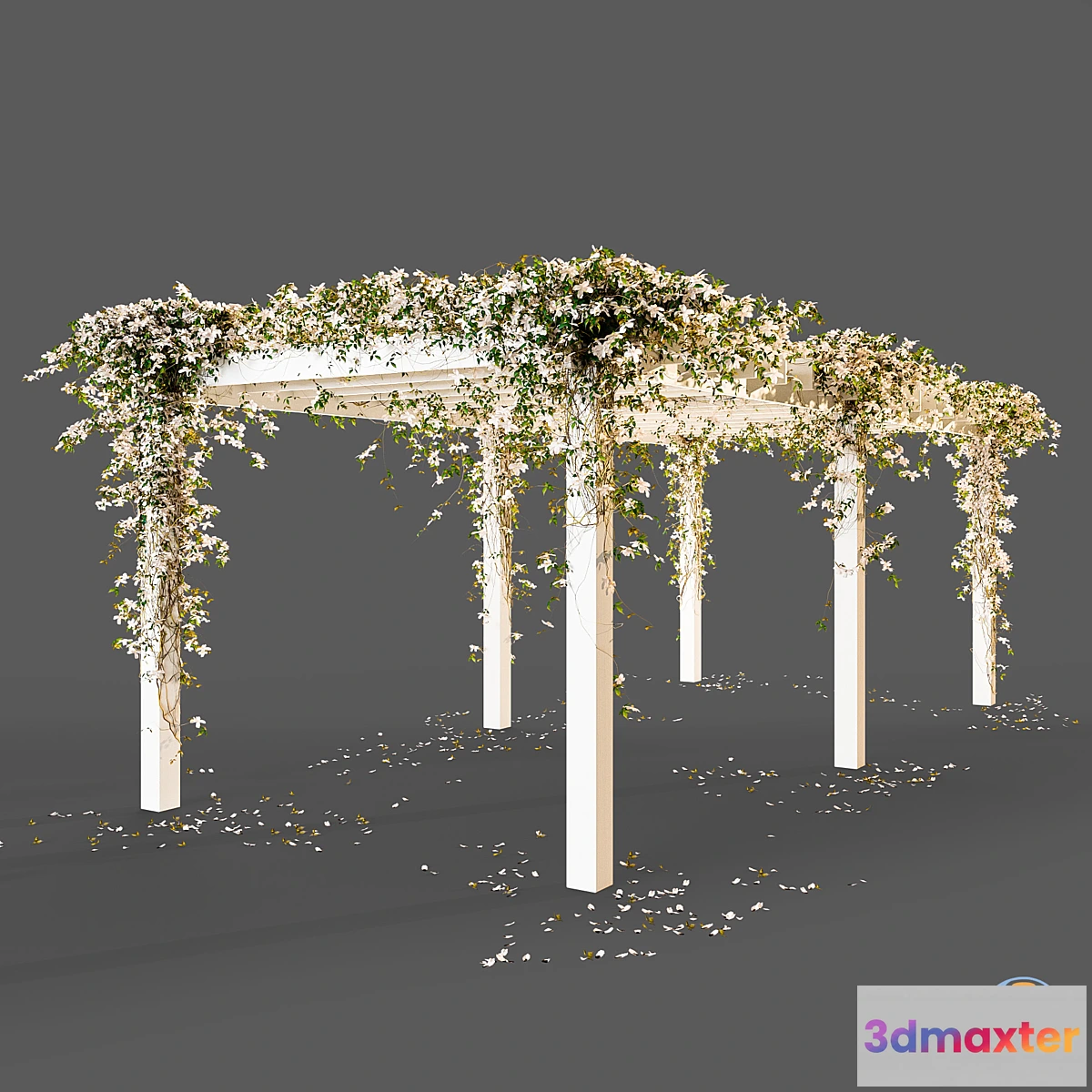814718 - Pergola with flowers - No.2