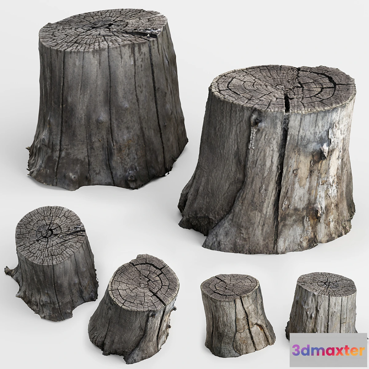 849525 - photoscan of two stumps - No.3