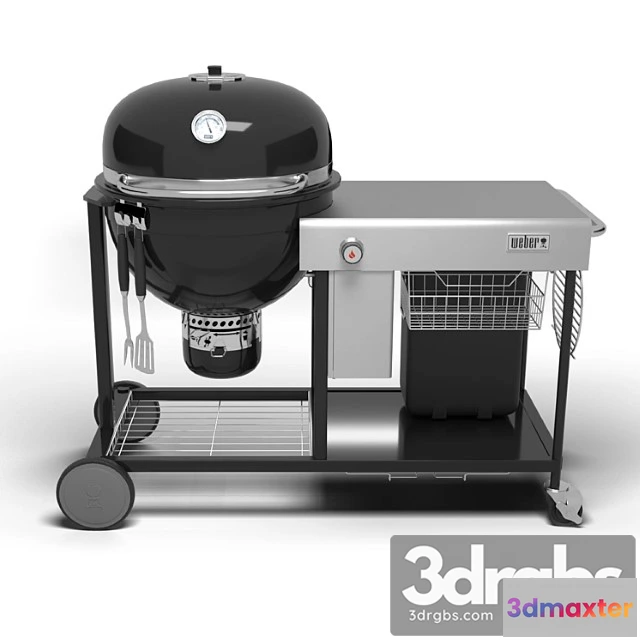 904878 - Grill Weber Summit Charcoal