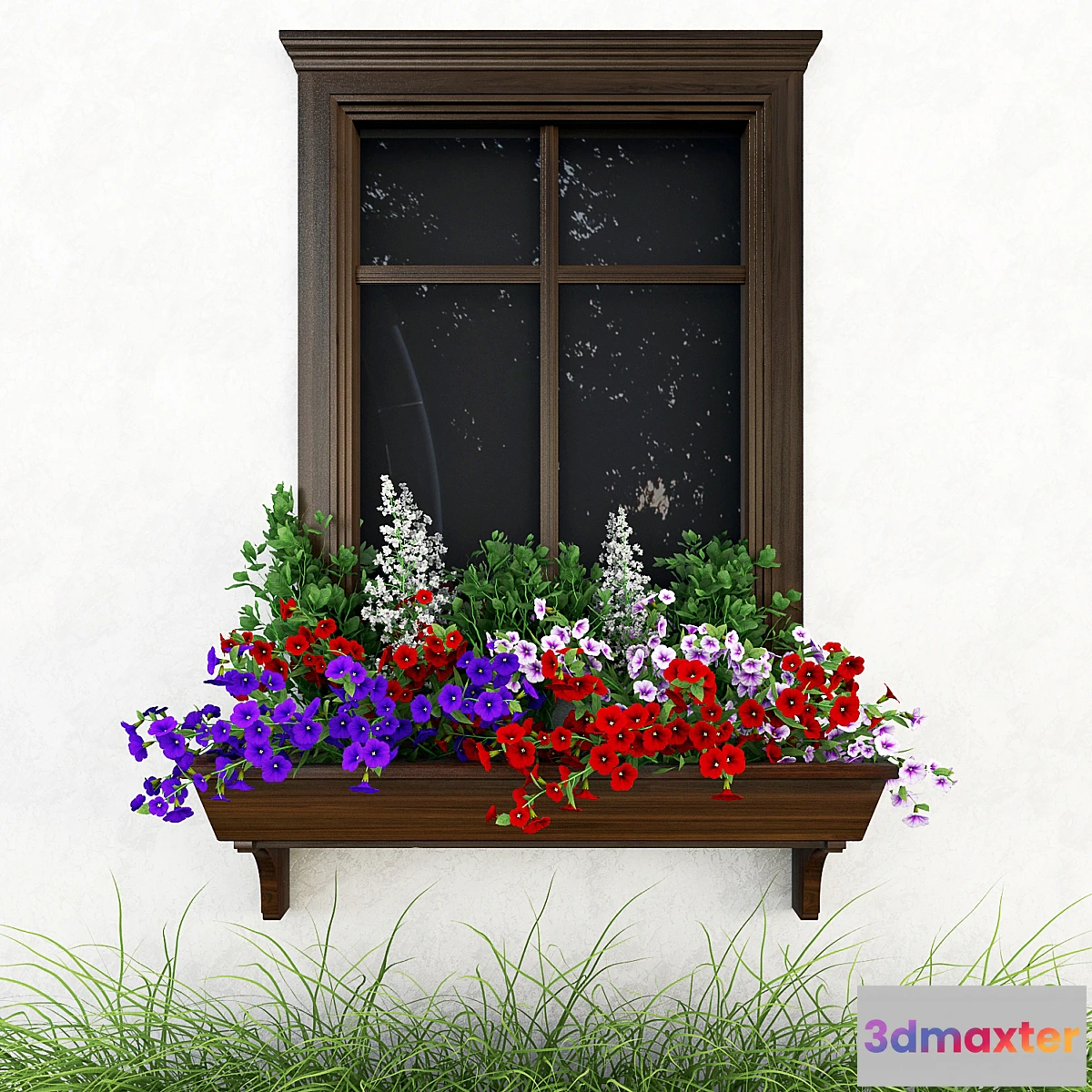 883968 - Petunia on the window - No.2