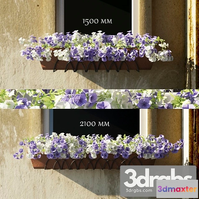 906514 - Korolieva Lieta 8