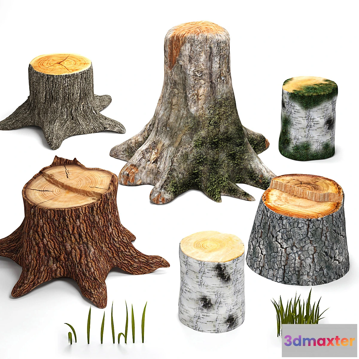 1281062 - Tree stumps collection & grass 3D Max