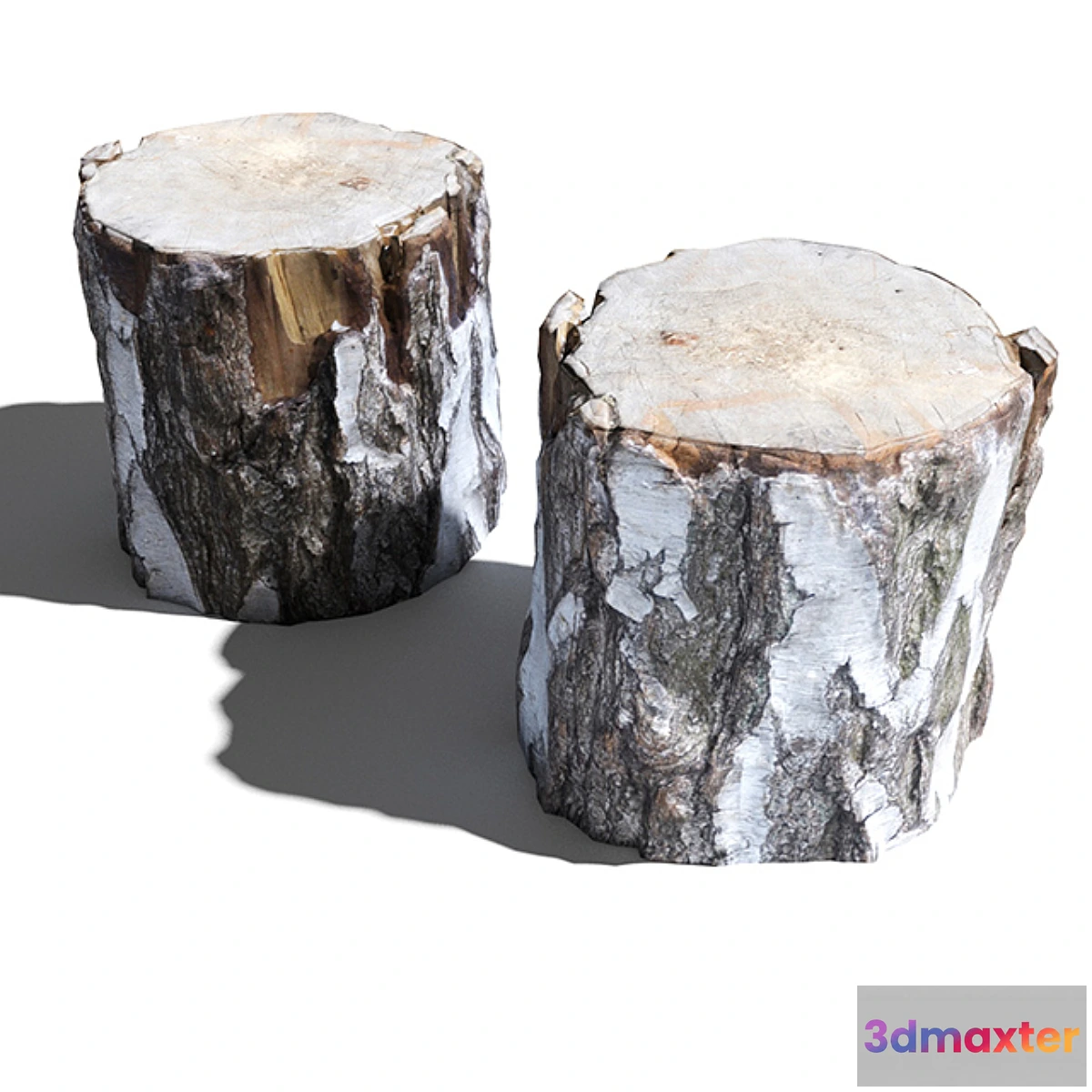 1281908 - Cutted trunk 3D Max