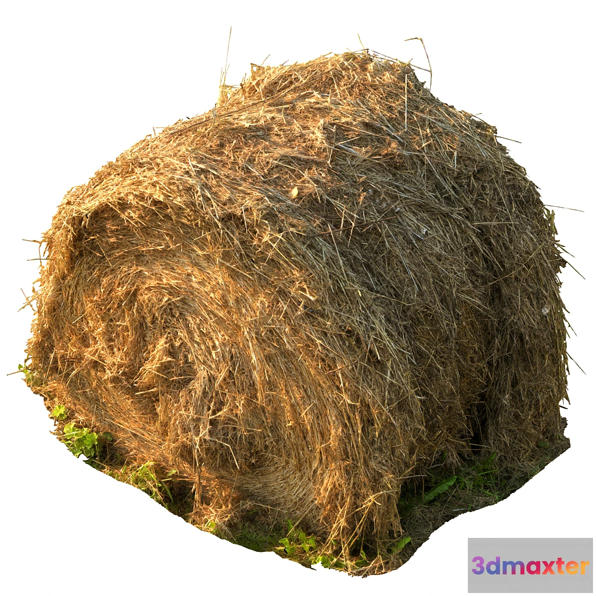 1313004 - Round bale of hay - No.2 3D Max
