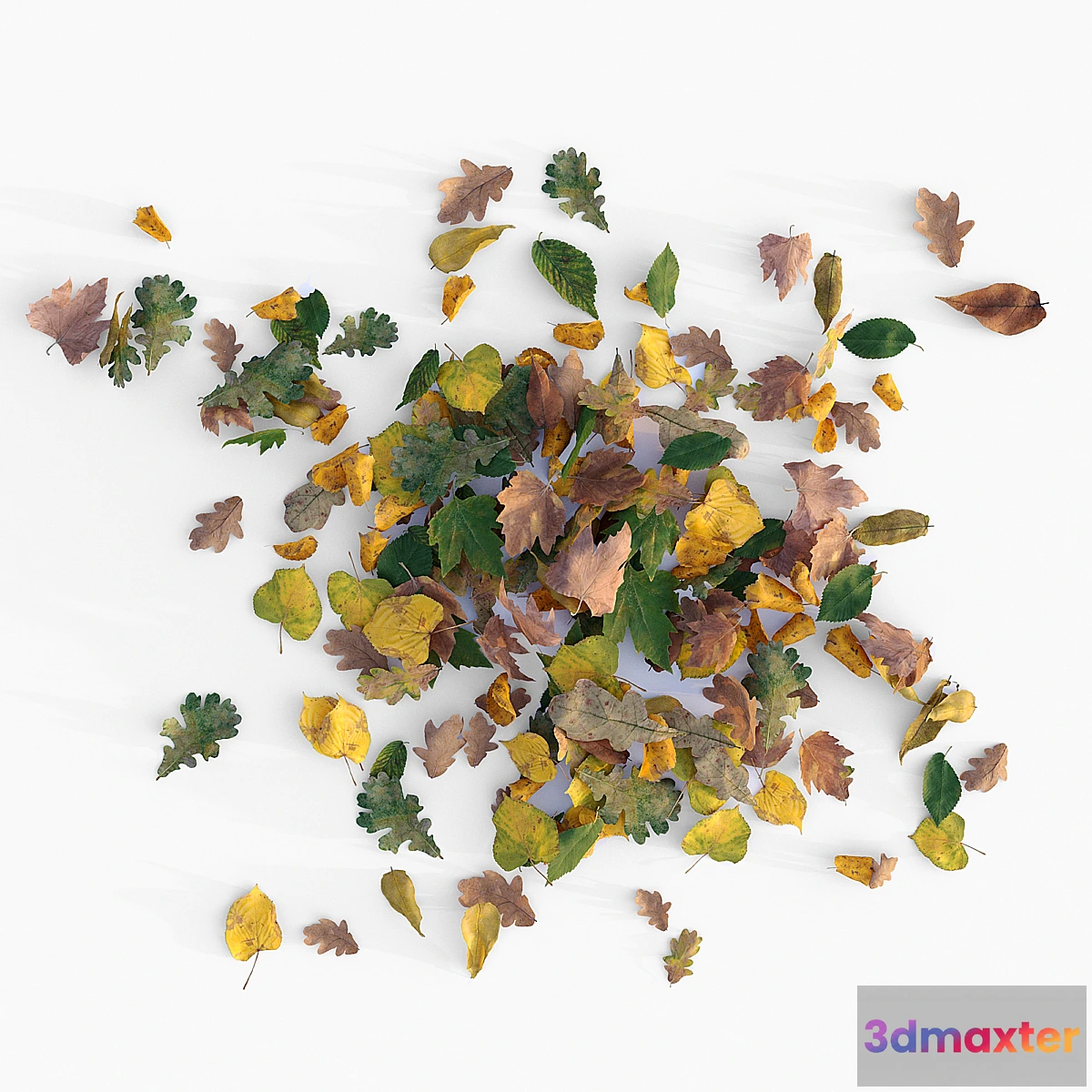 1317944 - Autumn leaves - No.2 3D Max
