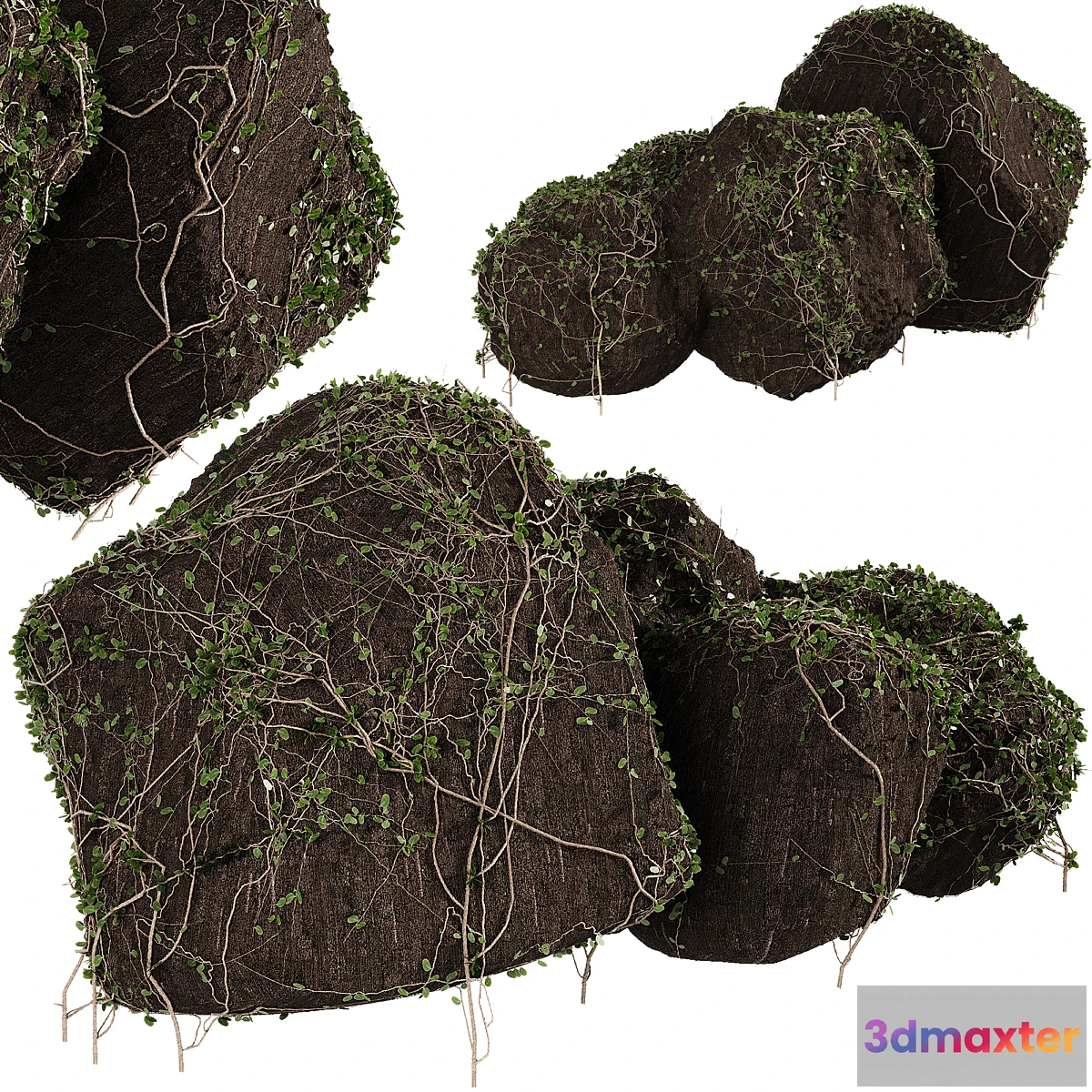 1337114 - Ivy on stones 01 3D Max