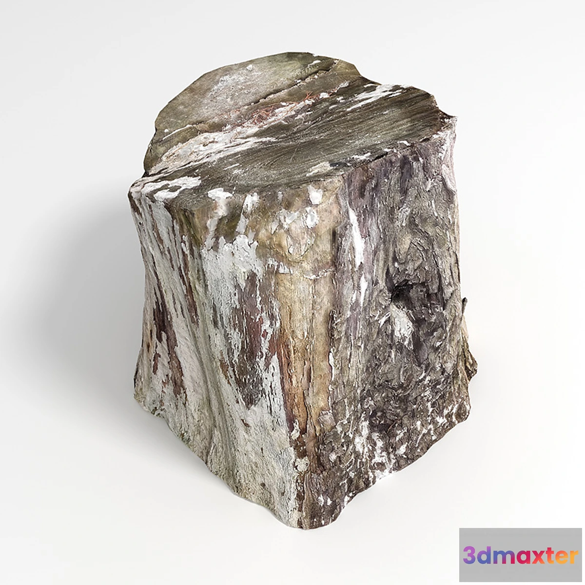 1355061 - Stump 3D Max