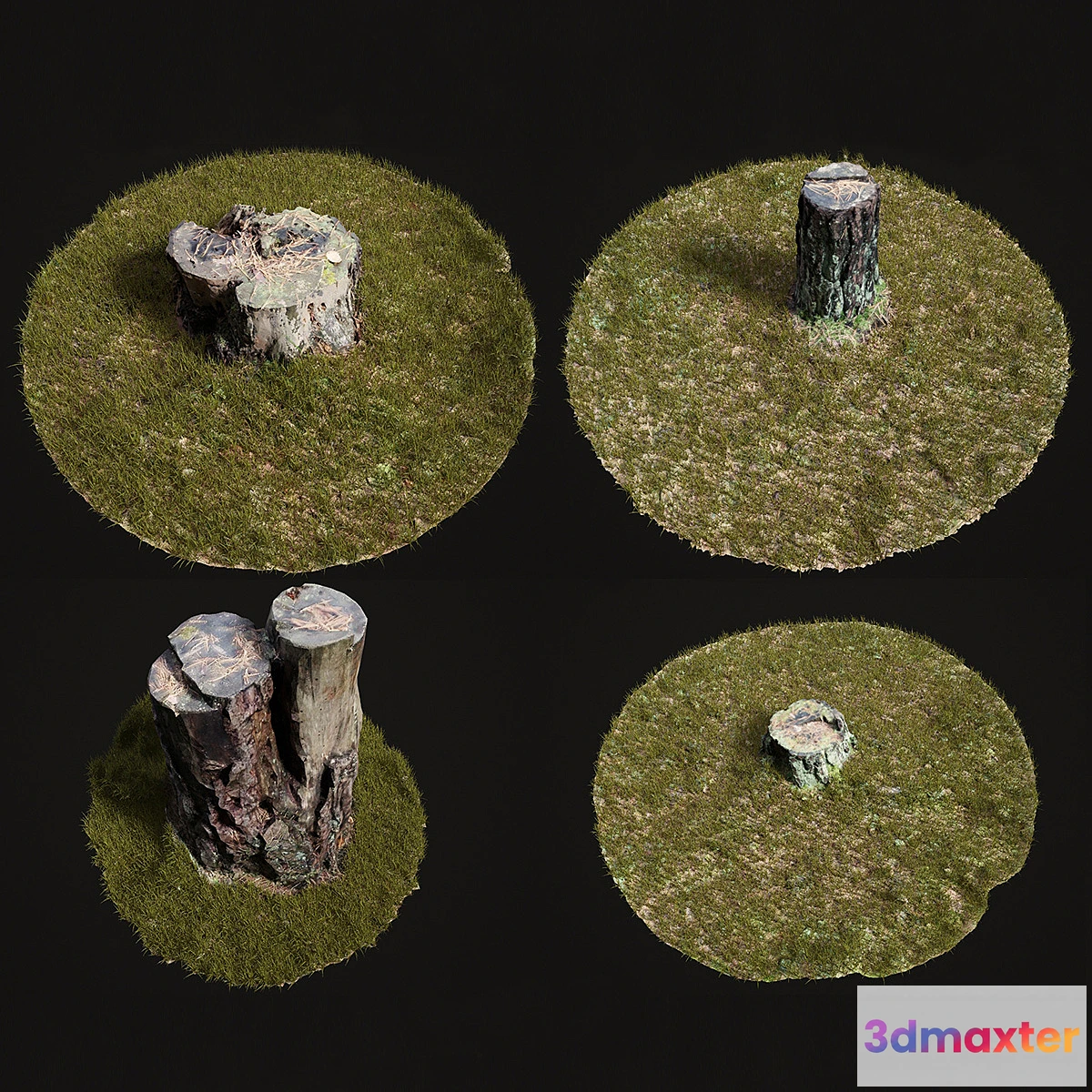 1424200 - 4 stump and grass 3D Max