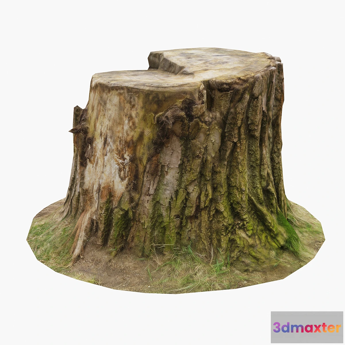 1424872 - Stump 3D Max