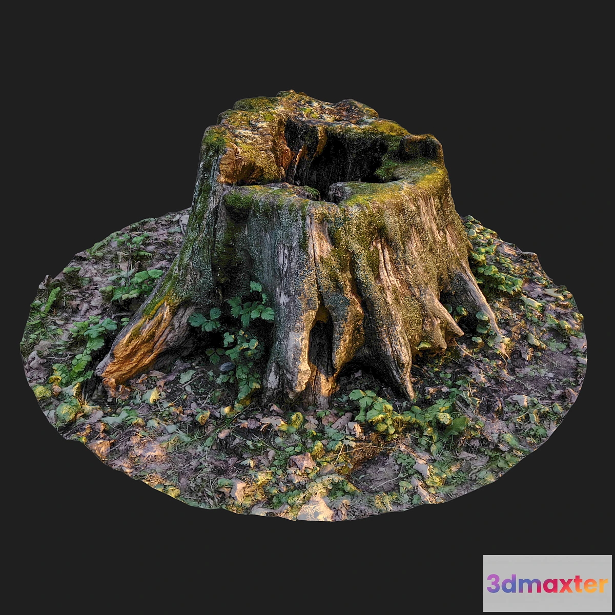 1441424 - Stump 3D Max