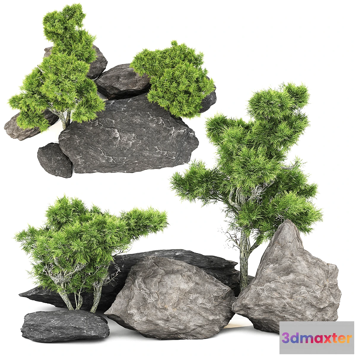 1449954 - Stone + Bush pack 1 3D Max