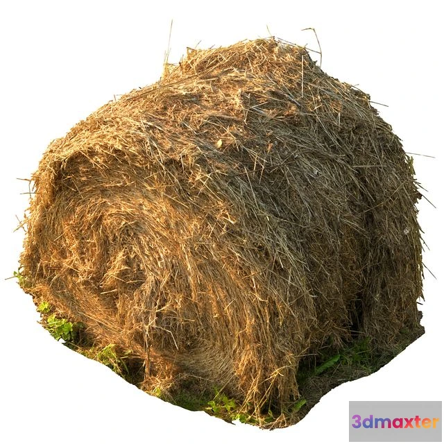 1540975 - Round Bale of Hay 3D Max