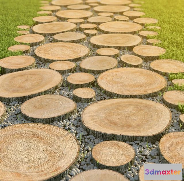 1544859 - Track of the carcass with pebbles 3D Max