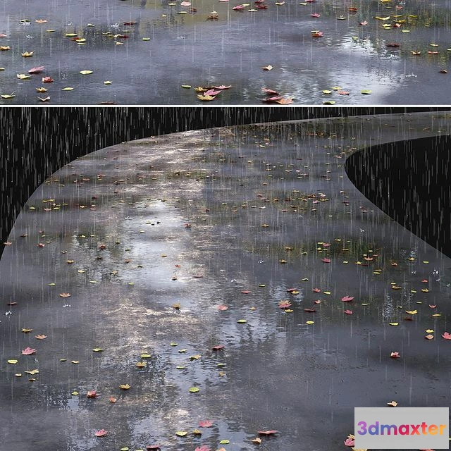 1553763 - Autumn road with leaves and puddles 3D Max