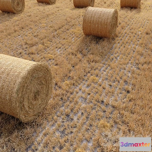 1557537 - Farm field with hay bale 3D Max