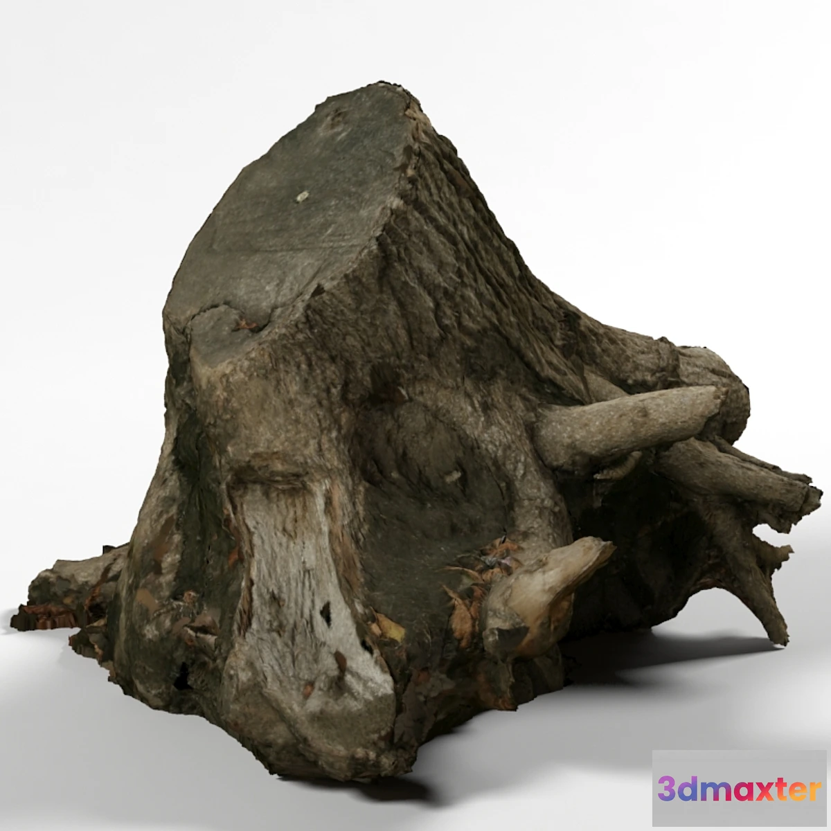 576748 - Stump