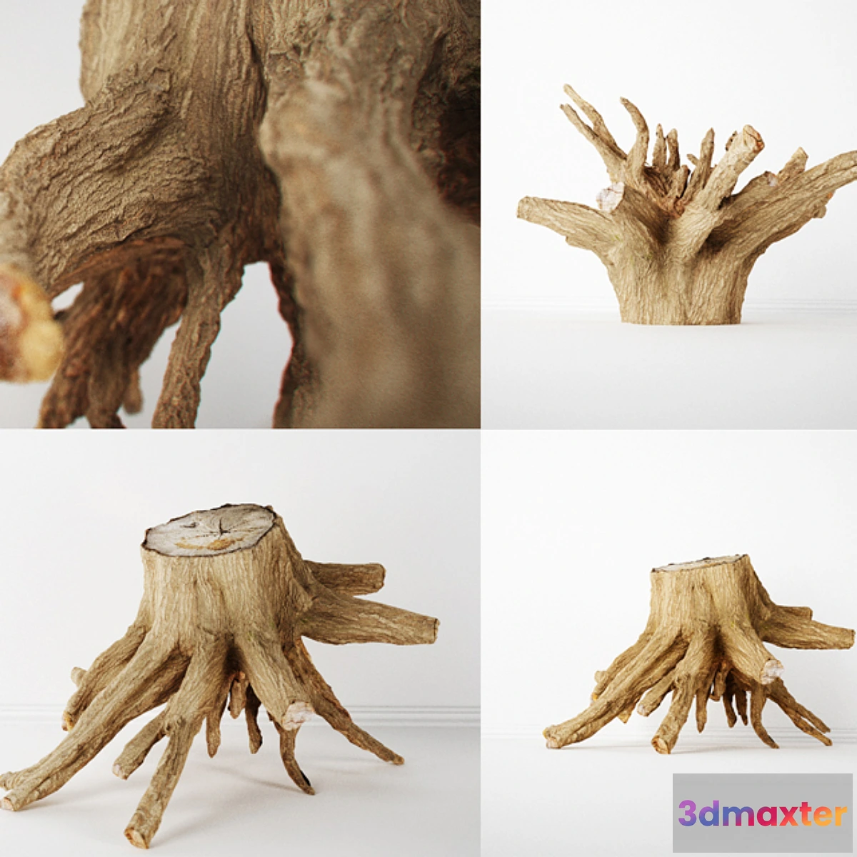 628259 - Stump - No.2