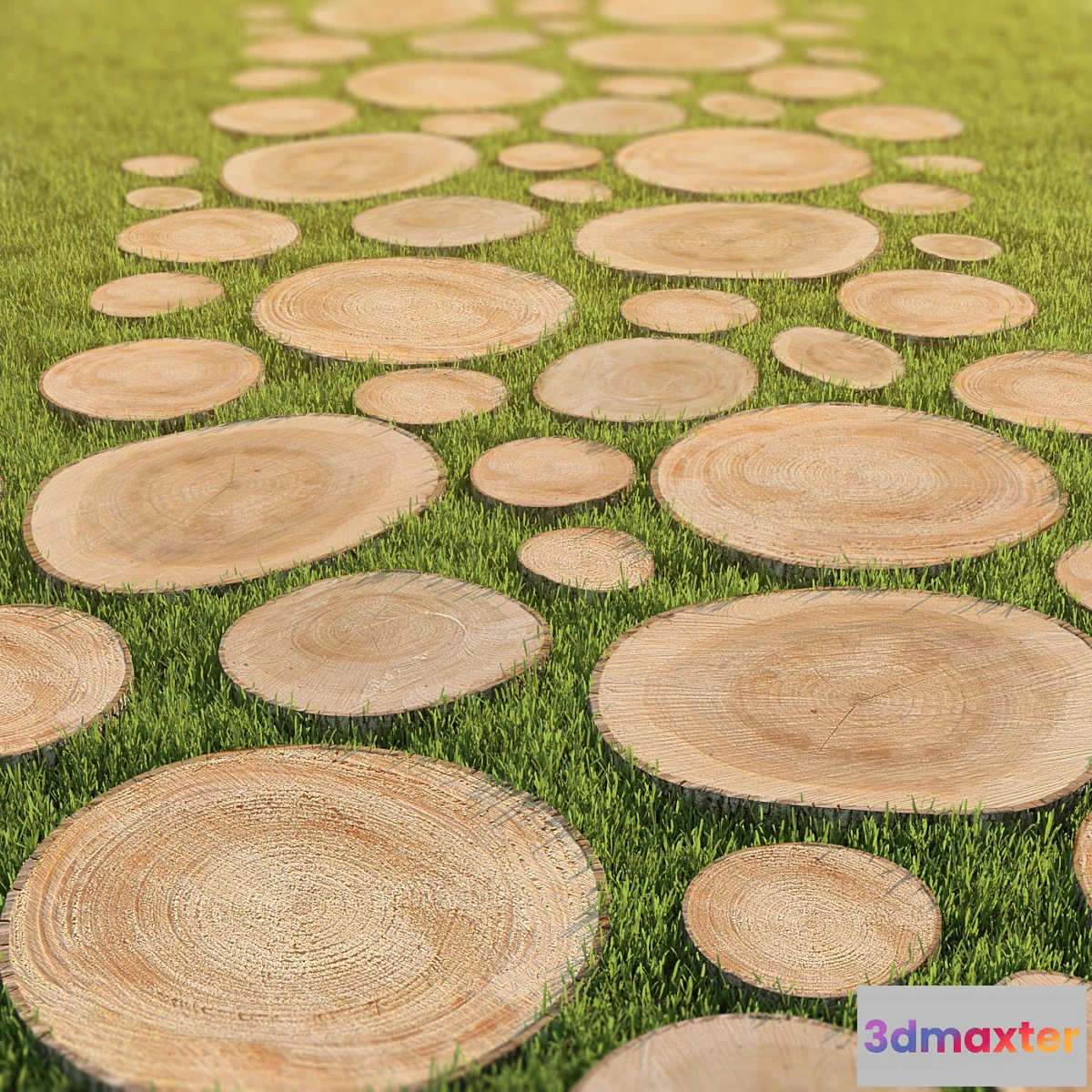 633657 - Track of the carcass