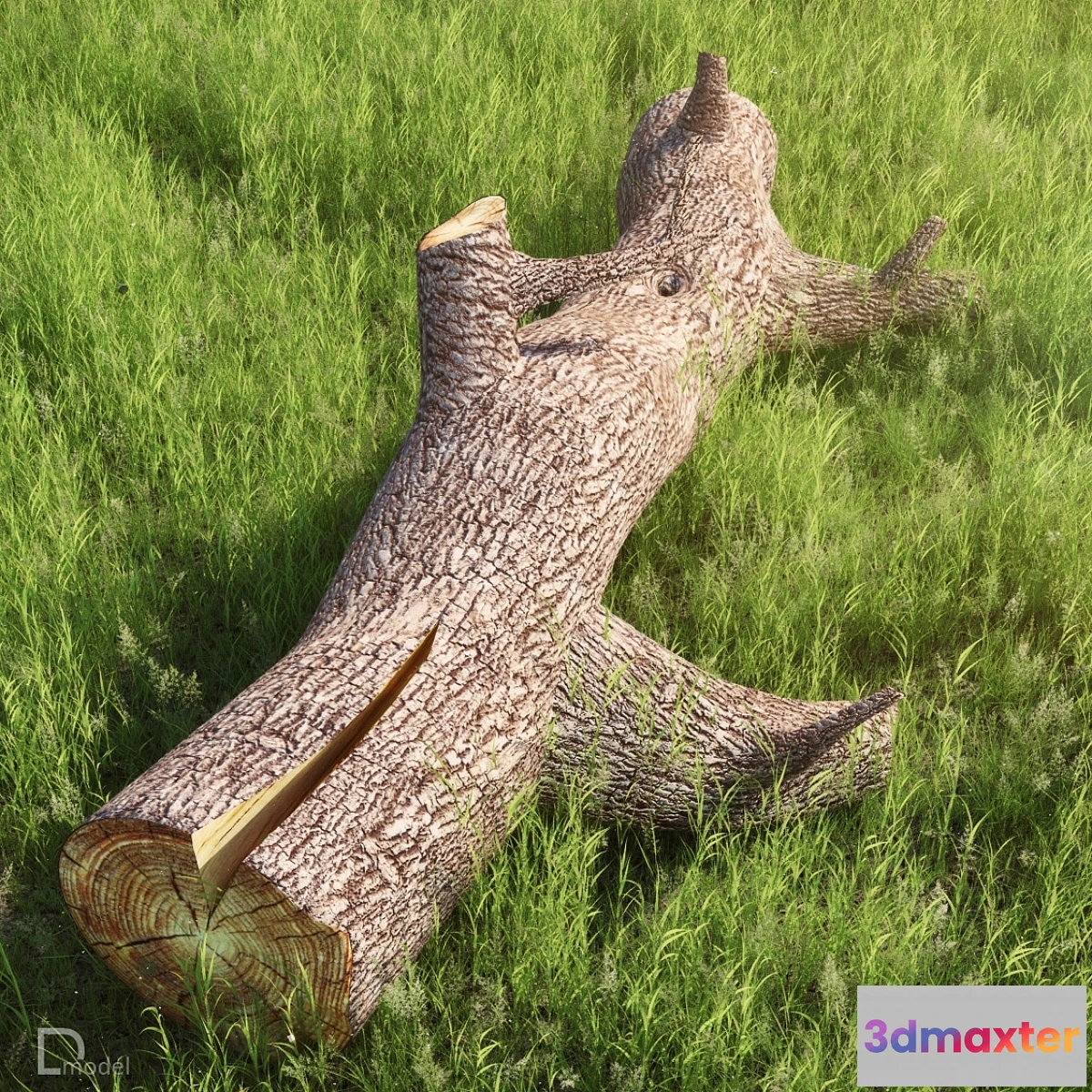 635683 - Dmodel_trunk