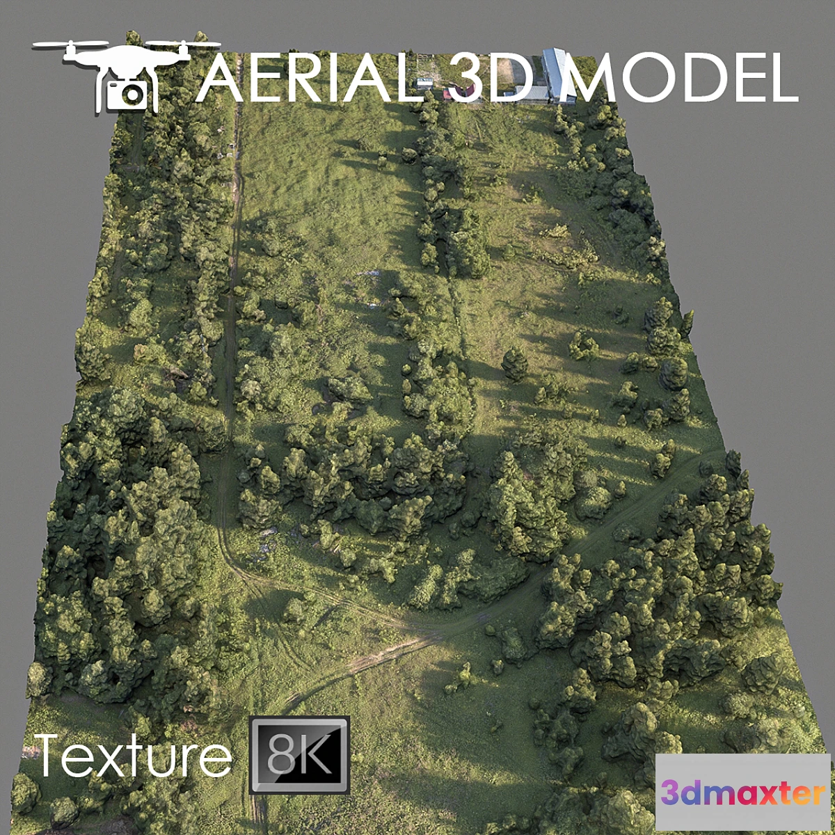 718144 - Forest 78 - No.2