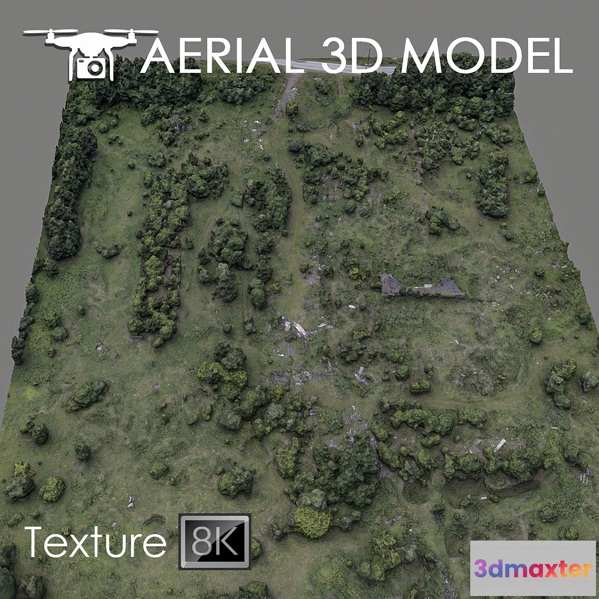 718182 - Forest 60 - No.2