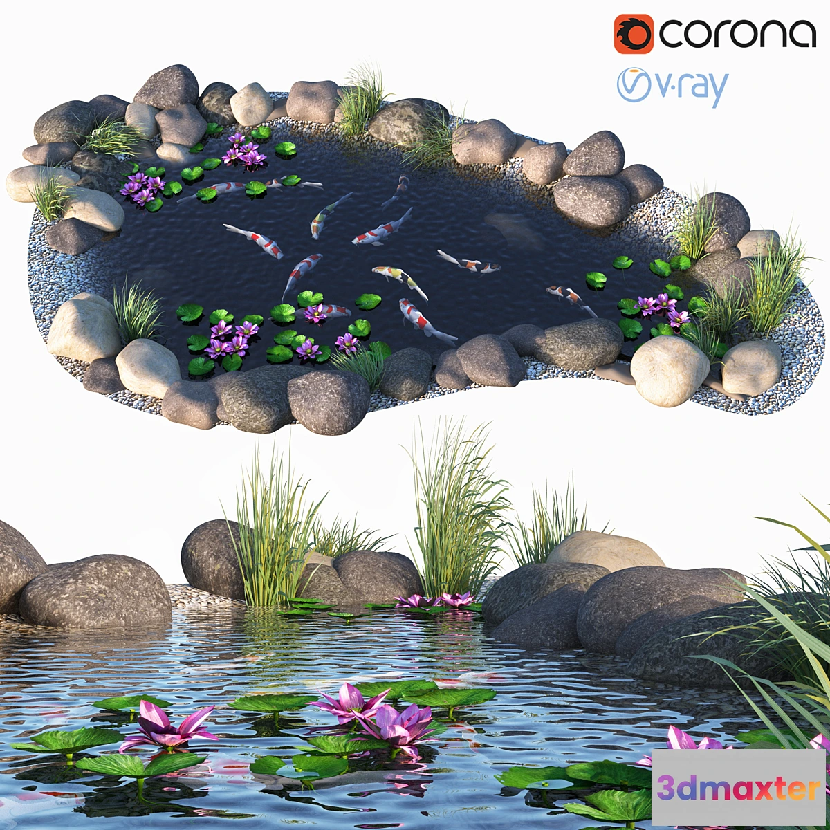 720884 - Water - Koi fish - No.2