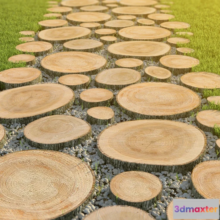 820892 - Track of the carcass with pebbles - No.2