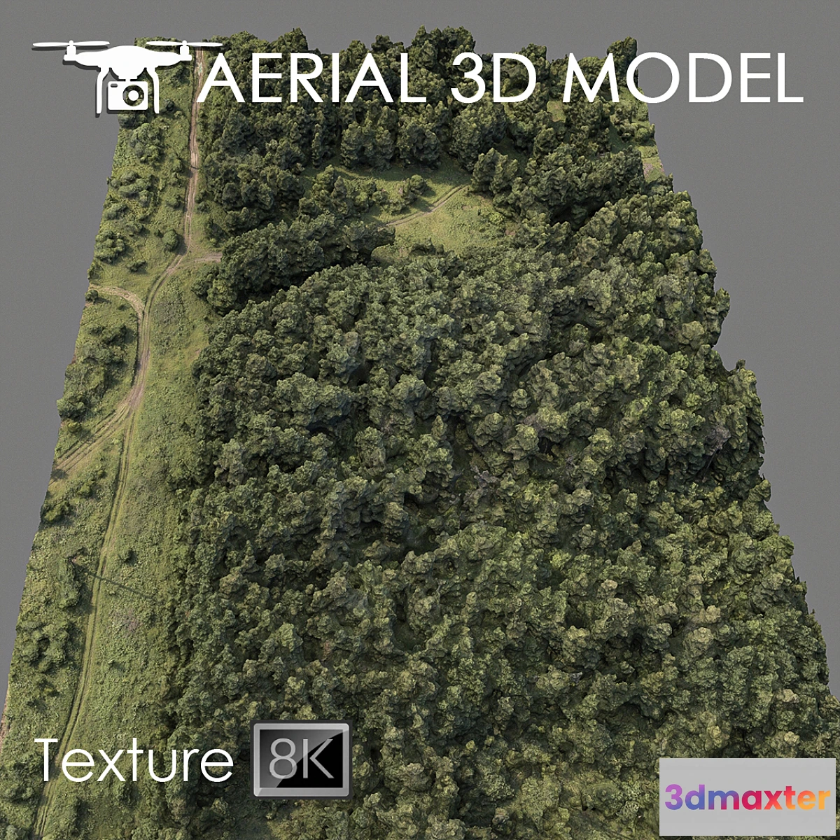 822628 - Forest 74 - No.3