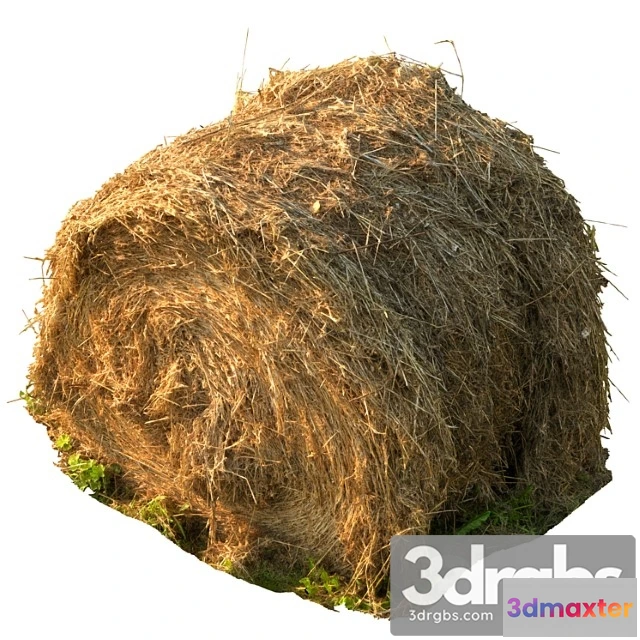 905944 - Kruglyi Tiuk Sena