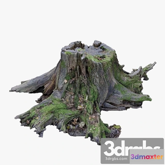 905946 - Krupnyi Pen