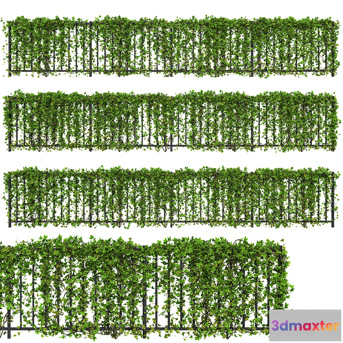 689252 - Fence with Ivy v16