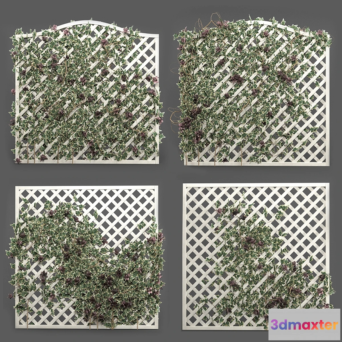 777323 - ivy grid panel( 4 different ivy composition)