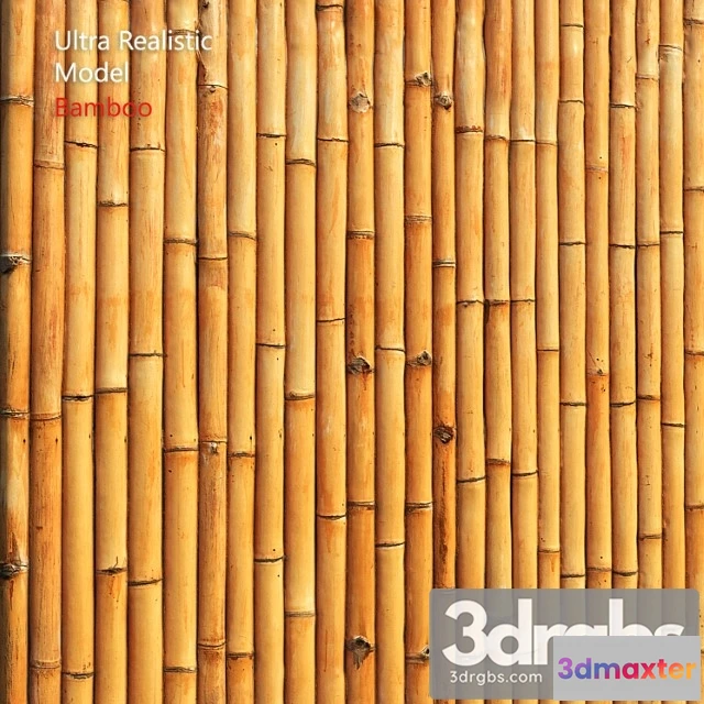 906728 - Bamboo Wall