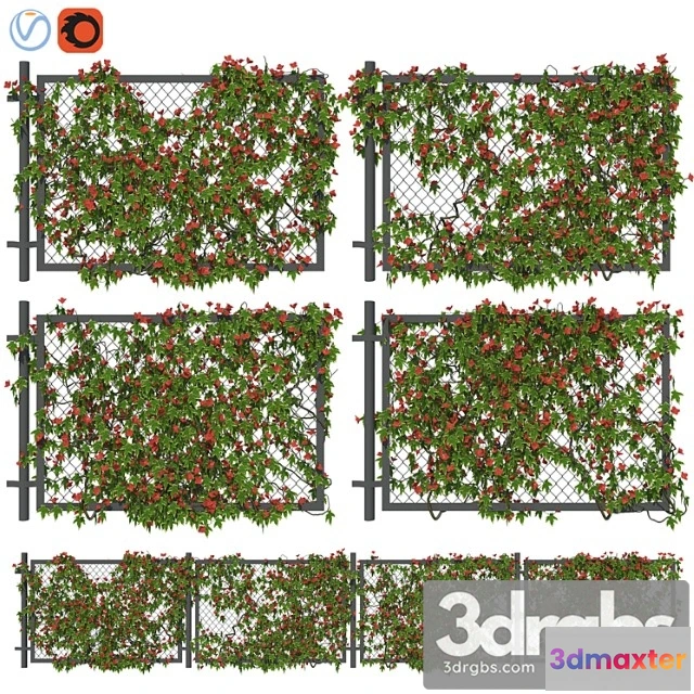 906980 - With Ivy V3