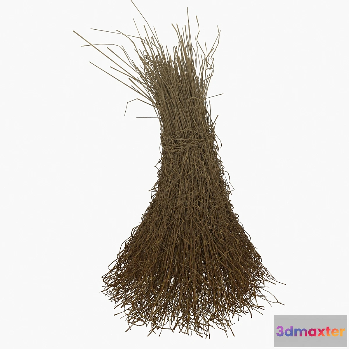 1393494 - Haystack 3D Max