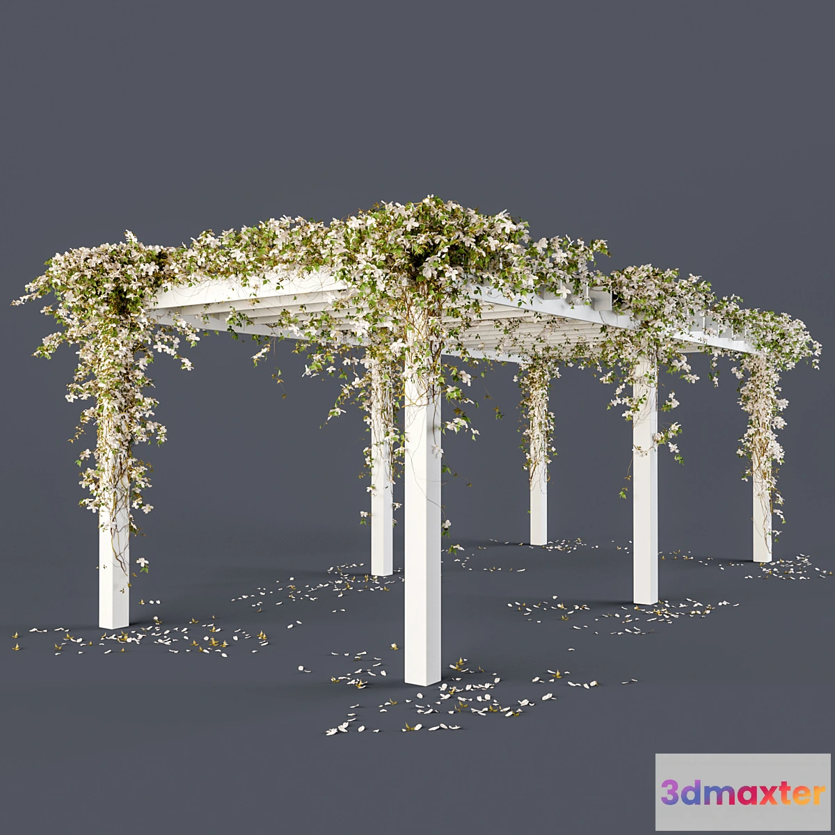 1395710 - Pergola with flowers 3D Max