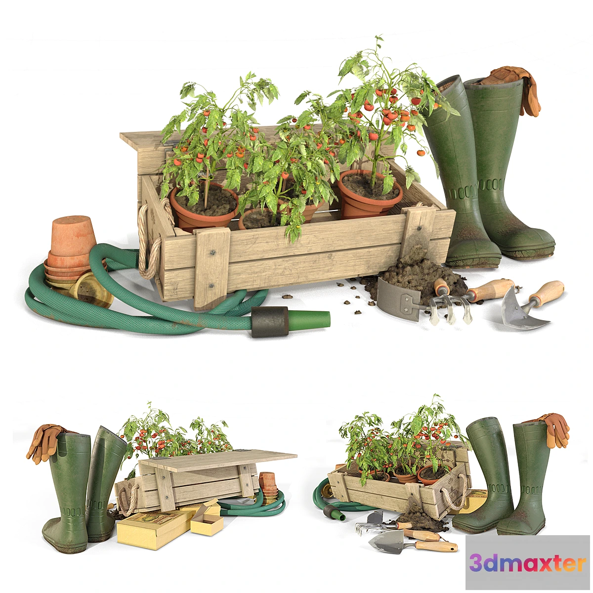 1399906 - Gardener tomato toolkit 3D Max