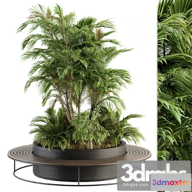 907032 - architecture bench with plants set 16