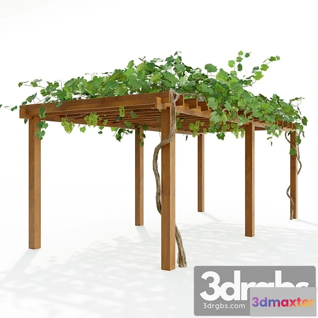 907580 - Pergola S Vinogradom 3