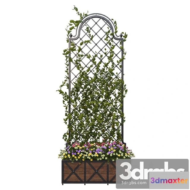 907582 - Pergola with Flowers 2