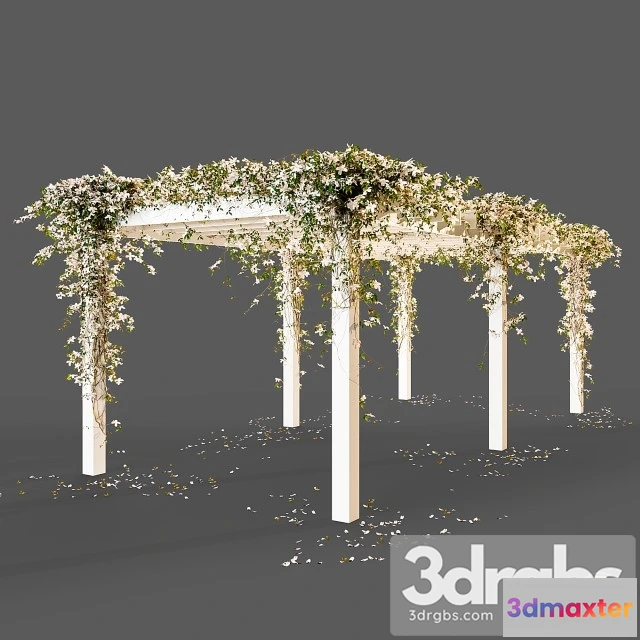 907584 - Pergola With Flowers