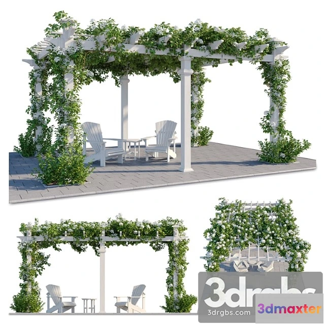 907590 - Pergola With Hydrangea