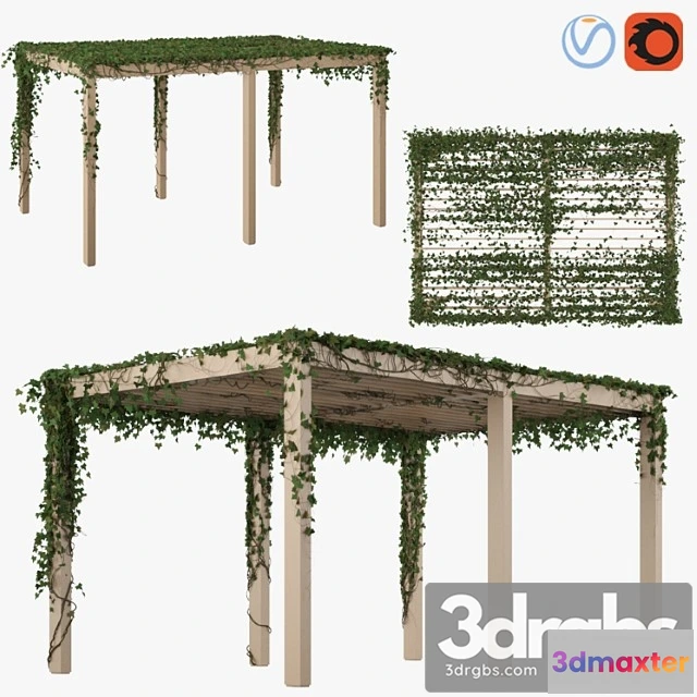 907592 - Pergola With Ivy V2