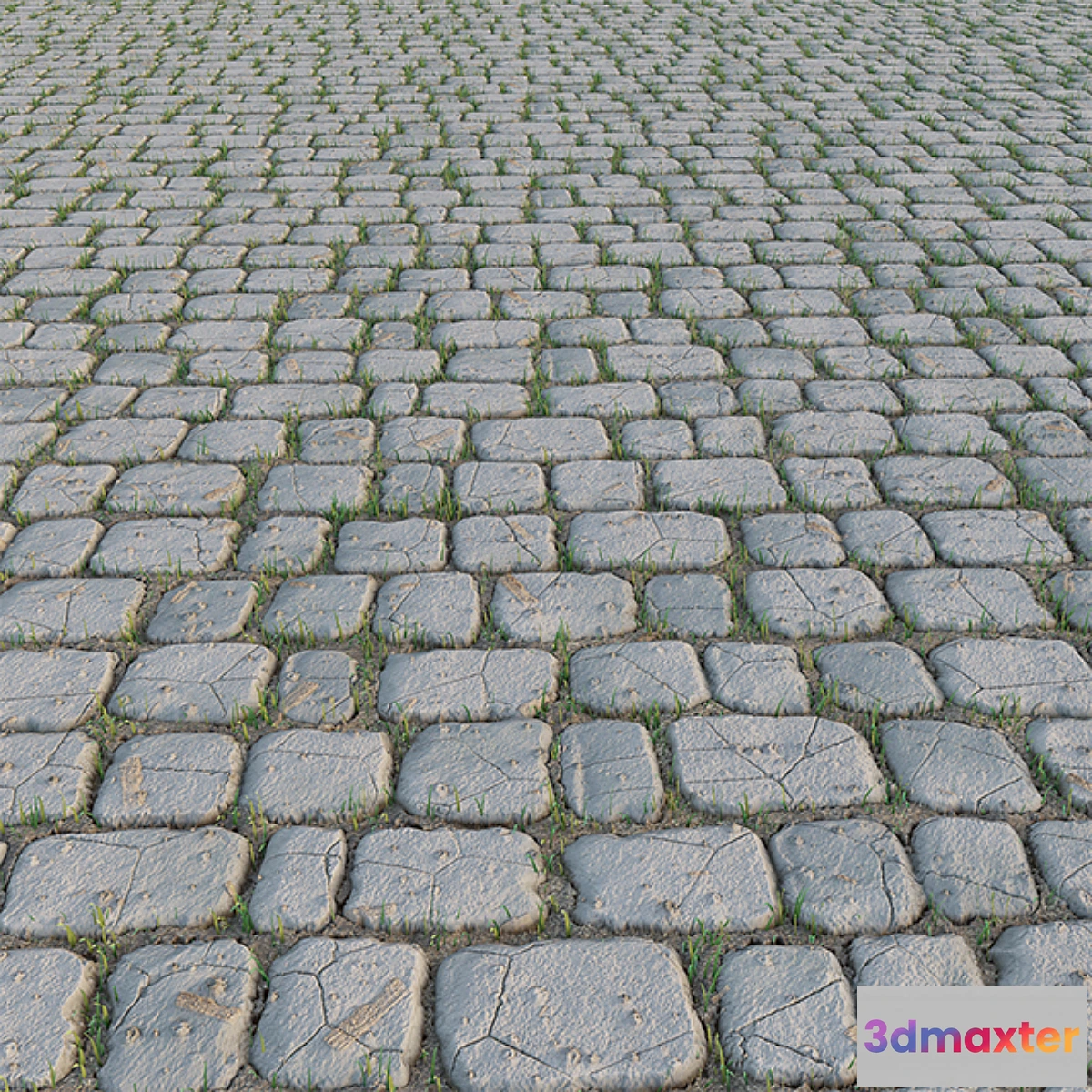 1400950 - Paving Stone and Grass 3D Max