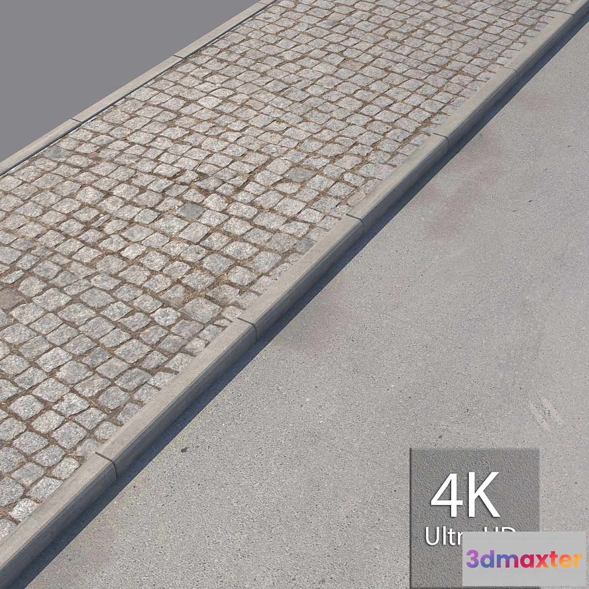 1410164 - Sidewalk 6 3D Max